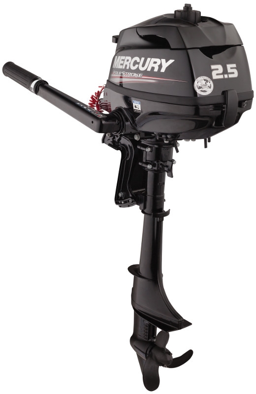 MERCURY F2,5M                                 